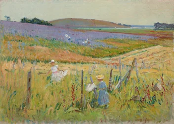 Les chasseurs de papillons, 1900-8
